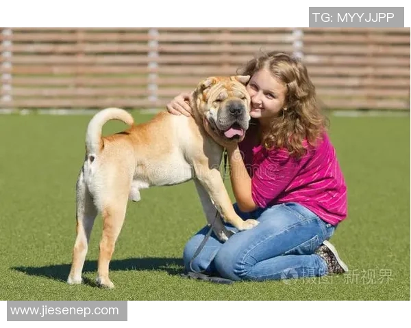 养狗的足球明星们如何平衡事业与宠物生活的精彩故事